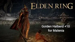 Golden Halberd +10 for Malenia