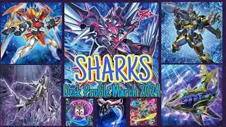 Shark Deck Profile -  March 2024 Yu-Gi-Oh!