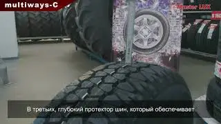 Всесезонные шины для микроавтобусов - Lassa Multiways-C