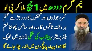 Motivational Islamic Quotes | Quotes About life | Rumi Quotes in Urdu | Golden Words | Hazrat Ali
