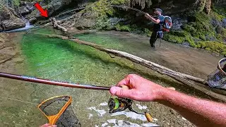 On P&Ecirc;CHE au leurre et au ver au FOND de cette FOSSE et ce qu'on va vivre est vraiment DINGUE !!