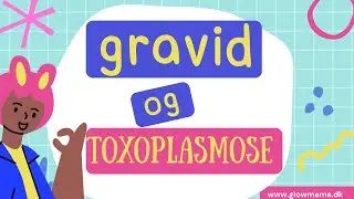 Toxoplasmose under graviditet 🌿 Hvad du skal vide &ndash; uden frygt | GlowMama Guide