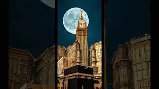 YouTube Islamic shorts #drawing #pets #art #facts #trend #best