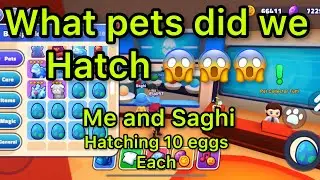 World Of Pets (Me and Saghi hatching 10 rare eggs each 😍😍)
