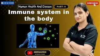 Immune system in the body by Meenakshi kumawat for class 12th NEET NET 
