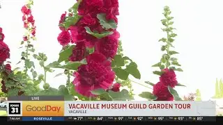 Vacaville Museum Guild Garden Tour, 7am