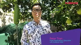 Merck&rsquo;s Curious Minds: Peter Tran
