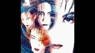 Fanatic&diams;Crisis - Pacifist (1995)
