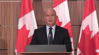 Unity, positivity key to Conservative success: O'Toole