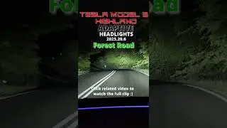 Tesla Model 3 Highland - Adaptive Headlights - Forest road #6 - 2025.20.6
