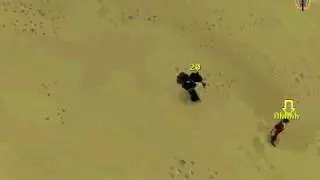 runescape pure max hitting with dds