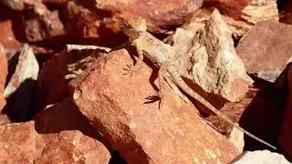 Australia Northern Territory Outback Scenery Relaxing Guitar Music