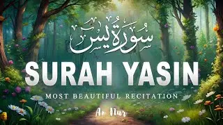 Surah Yaseen سورة يس | Relaxing & Beautiful Recitation for Inner Peace by Alaa Aqel | #lofiquran