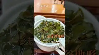 台灣茶你會怎麼挑？ #tea #以茶會友 #台灣高山茶 #正能量