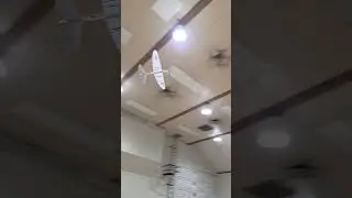 Indoor model airplane flight Seversky NoCal #airplane #modelairplane