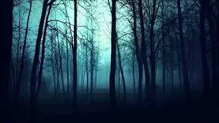 Hollow Space