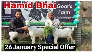 26 January Special Dhamaka Offer on Barbari goats at Zubiya goat Farm Hamid bhai Aurangabad 