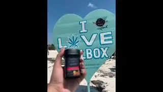 Dirty Gummies en Holbox