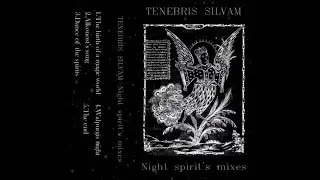 Tenebris Silvam - Night Spirit's Mixes (Full Tape)