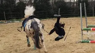 Bétisier 2015-2016 😂🏇