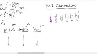 Crystal Violet Fading Pre-Lab