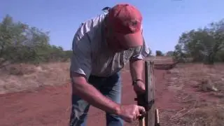 Quail Posts - Quail and Game Cams - Texas Wildlife Association