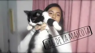 Tag de la Mascota | Dania Marissa