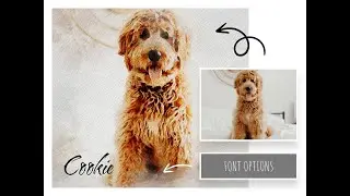 Watercolor Pet Portrait, Custom Dog Painting From Photo, Digital Pet Illustration