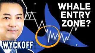4 Altcoins Whales Are Secretly Loading? (CRO KAS TAO VELO) Wyckoff Crypto Analysis