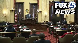 Baltimore City Council's resolution on juvenile crime 'symbolic at best,' says city activist