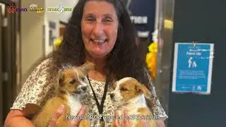 AviaX Nevada SPCA