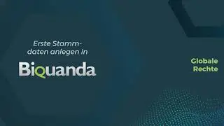 Erste Stammdaten anlegen in Biquanda - Globale Rechte