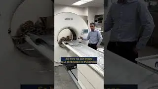 All Species Imaging Center: Small Animal CT Scanning