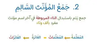 جمع المذكر والمؤنث السالمين