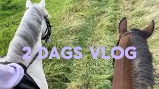 2 DAGS VLOG