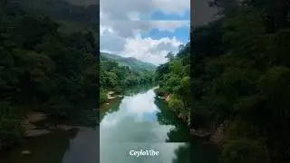 Nature with Local Bridge 🌉 😍