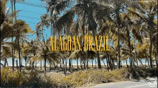 Bojas em MCZ: Buscando transições