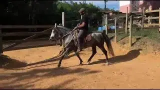 QUITUMBA - Latino Dois - MARCHADOR