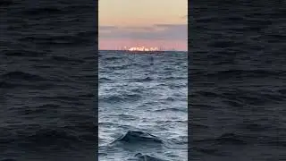 Downrigging in Oakville Lake Ontario view of Toronto at sunset