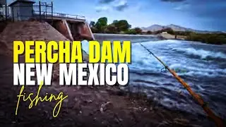 Monster Drum & Giant Walleye Caught at Percha Dam, New Mexico (2025 Fishing Adventure)
