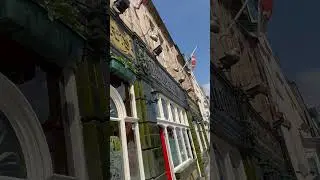 Delivering window box flower displays to the London pub in Southampton #flowers #viral#lol #memes