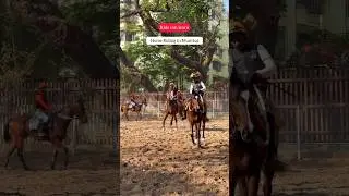 Learn Horse riding in Mumbai for kids at  Mahalaxmi race course #horse #horseracing #mumbai #kids