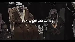 📖 Quran Tilawat | Beautiful & Heart Touching Recitation | Peaceful Islamic Video