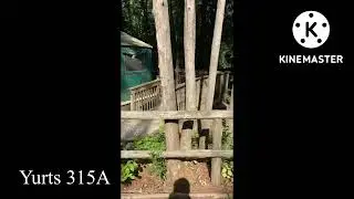 Charleston Lake - Yurts 315A Ontario Canada#Camping #Ontarioparks