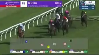 ROTHFIRE | Rosehill