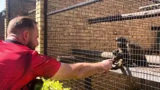 Monkey and bird park Benoni