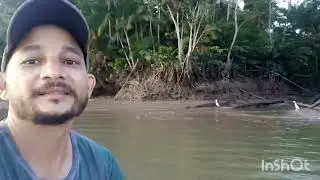 Onze minutos no Marajó.