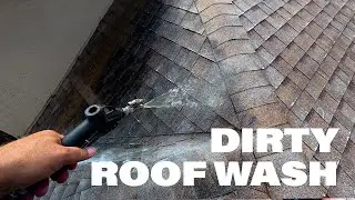Dirty Roof Transformation - Soft Washing Tampa Shingle Roof