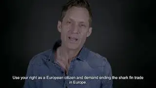 STOP THE SHARK FINNING EU #stopthefinningEU