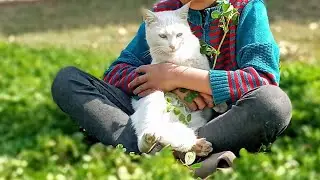 😍CATZONE🥳 is🍁 live! 😍#cat ❤️#cute🥀 #kitten ⚜️#vira❤️l #animals 🌹